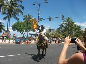Part of the 2012 Kamehameha Day celebration
