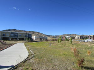 Bioswale in a subdivision development in Boulder County, Colorado.